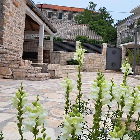 Tomina Apartament